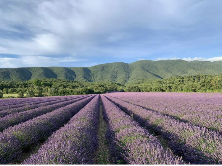 Cereste en Luberon